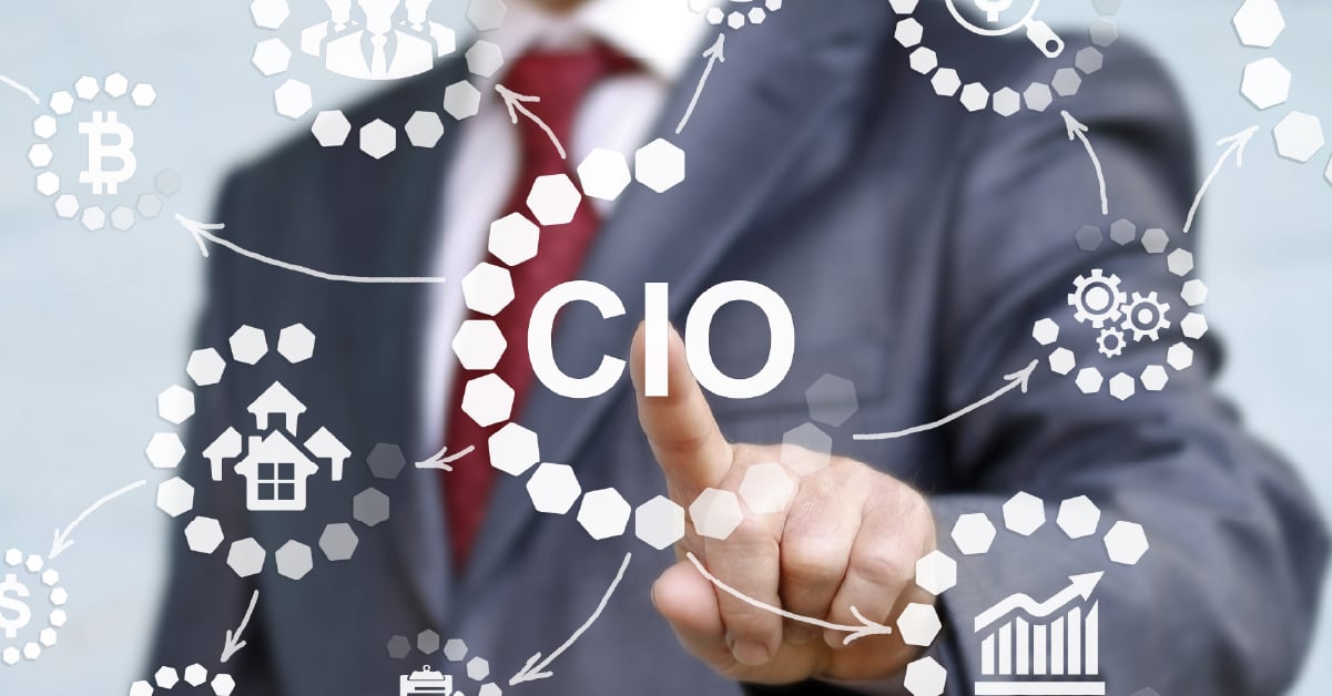 CIO responsibilities map. 
