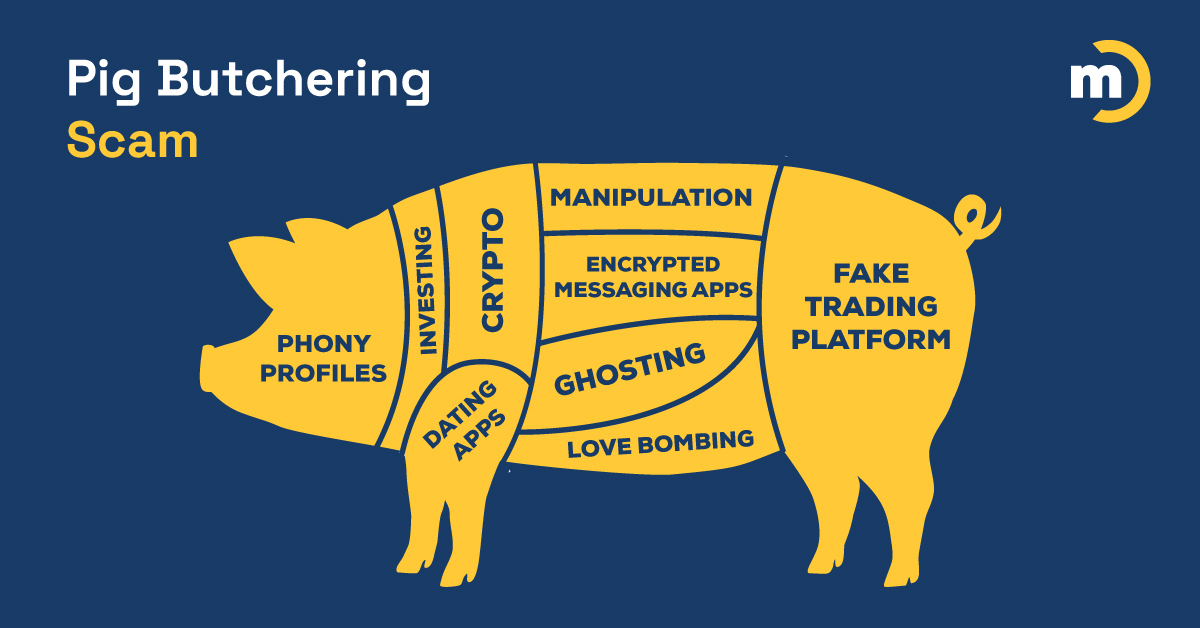 Marco-Blog_PigDiagram