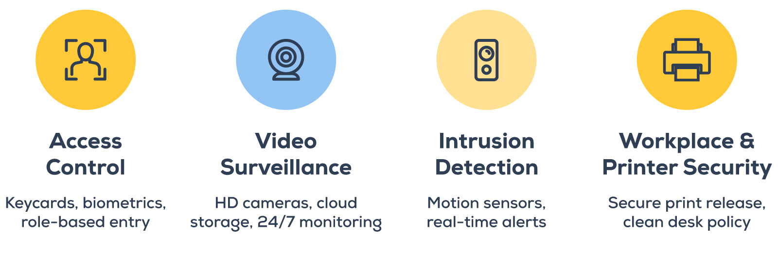 Infographic of physical security system types