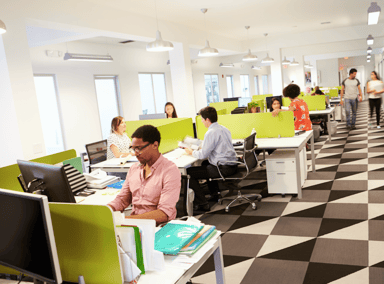 Image description: Grouping of cubicles with neon green dividers and a diverse group of individuals working at their computers and communicating.